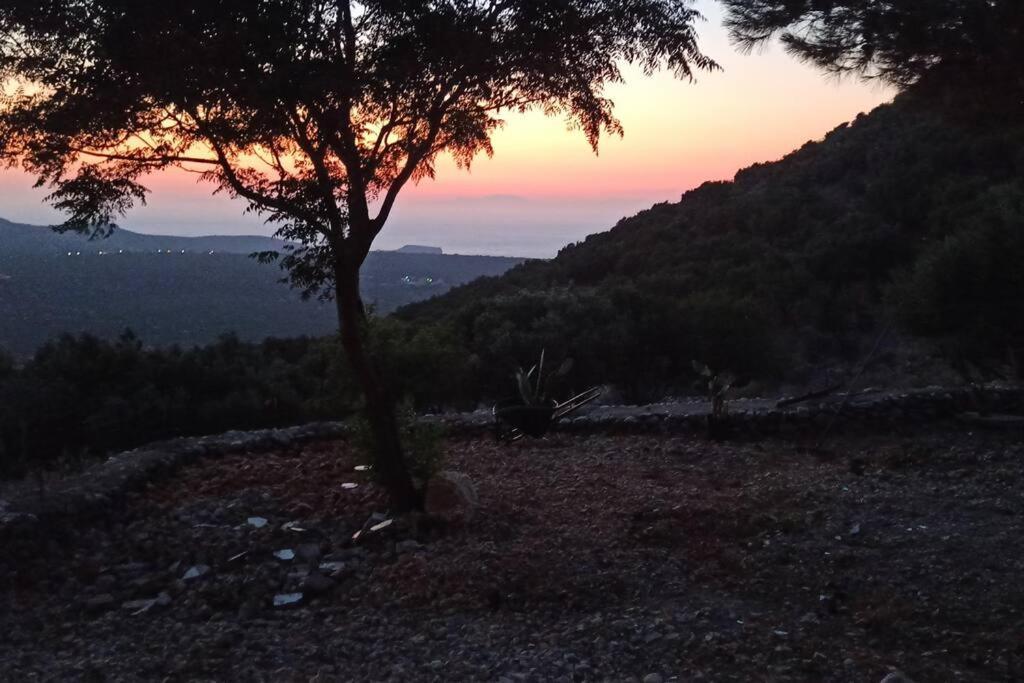 דירות קויטה Λαγκάδι Μάνης מראה חיצוני תמונה