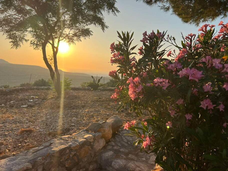 דירות קויטה Λαγκάδι Μάνης מראה חיצוני תמונה